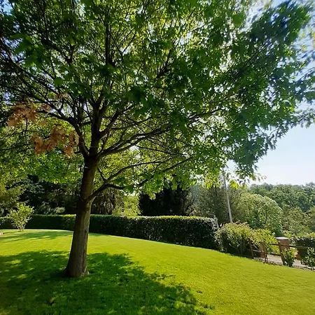 Starsbox Le Moline Bed & Breakfast